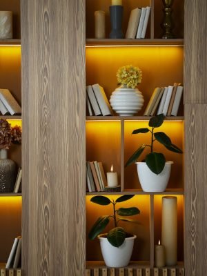 design-de-interiores-com-prateleiras-e-vasos-de-plantas